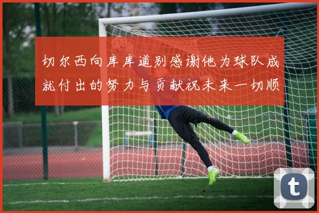 切尔西向库库道别感谢他为球队成就付出的努力与贡献祝未来一切顺利