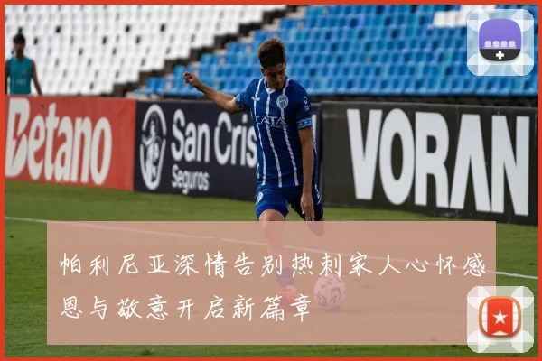 帕利尼亚深情告别热刺家人心怀感恩与敬意开启新篇章