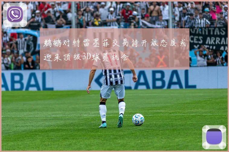 鹈鹕对特雷墨菲交易持开放态度或迎来顶级3D球员机会